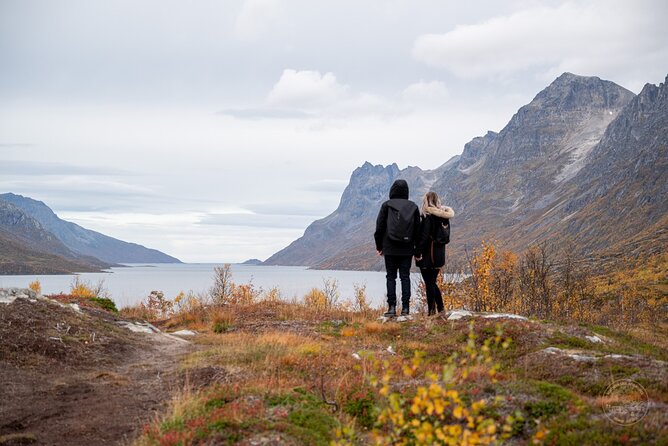 Arctic Fjord Roadtrip with Scenic Picnic from Tromso - Sommarøy, beaches, and the picnic stop