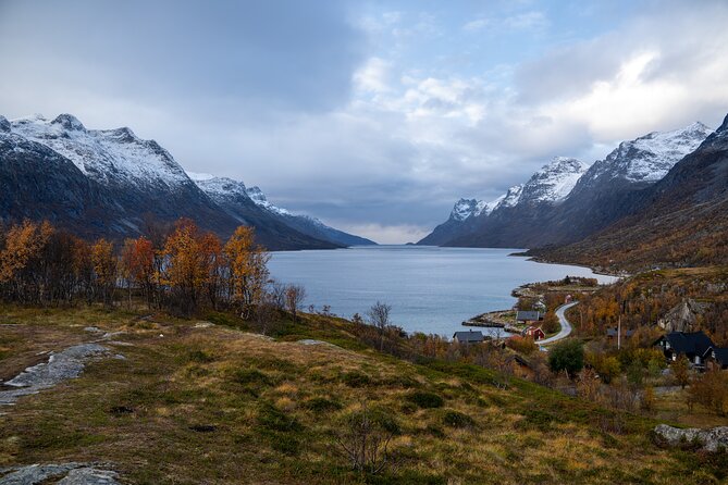 Arctic Fjord Roadtrip with Scenic Picnic from Tromso - Is $151.15 a fair price?