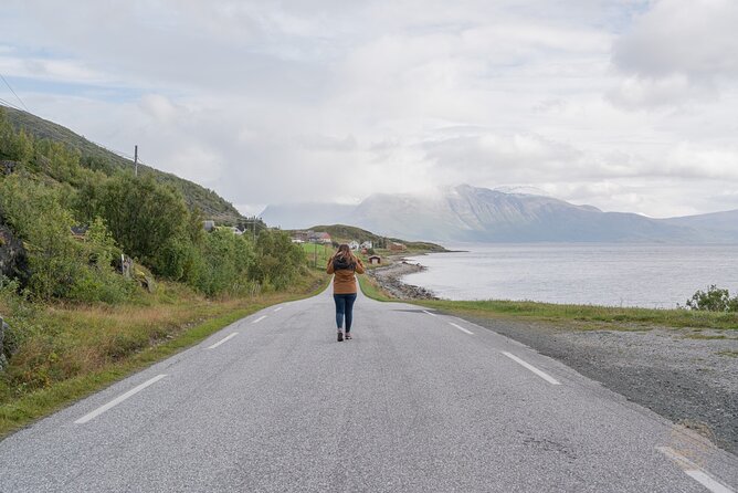 Arctic Fjord Roadtrip with Scenic Picnic from Tromso - Who should book this Kvaløya road trip?
