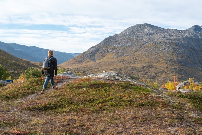 Arctic Fjord Roadtrip with Scenic Picnic from Tromso - The drive through Kvaløysletta and the fjords