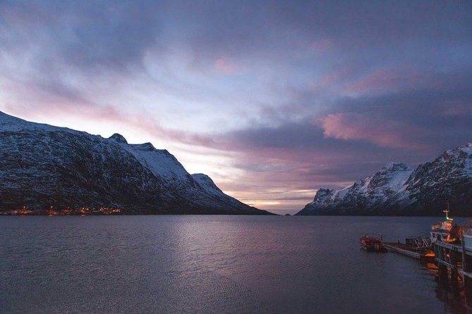 Arctic Fjord Sightseeing by Minibus - Why this Tromsø fjord tour works well