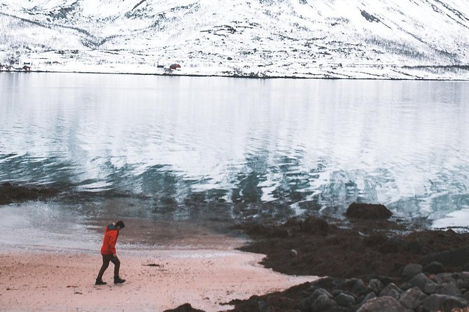 Arctic Fjord Sightseeing by Minibus - Ersfjord: your first look at Kvaløya’s coastal life