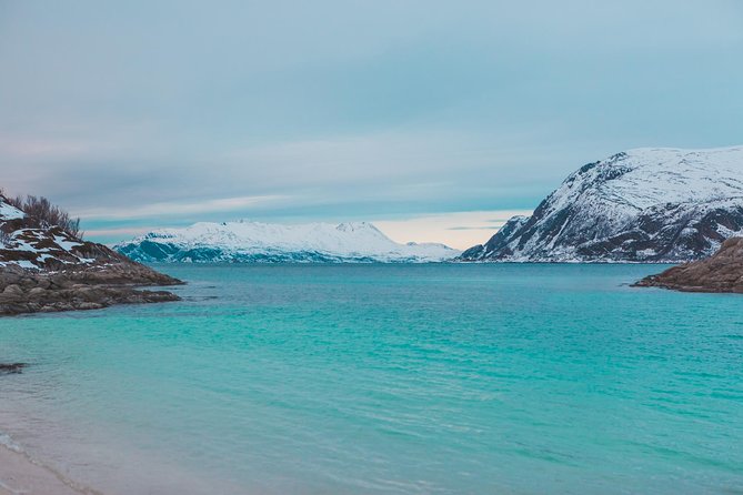 Arctic Fjord Sightseeing by Minibus - Sommarøy: the most memorable scenery of the day
