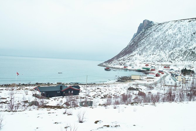 Arctic Fjord Sightseeing by Minibus - What the guide can add to the drive