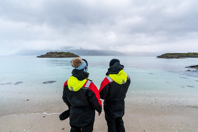 Arctic Fjord Sightseeing by Minibus - Comfort, cold, and the limits of a minibus