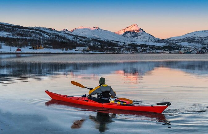Arctic Fjordcruise & Safari in Tromso with Luxury Catamaran - Key points to know before sailing