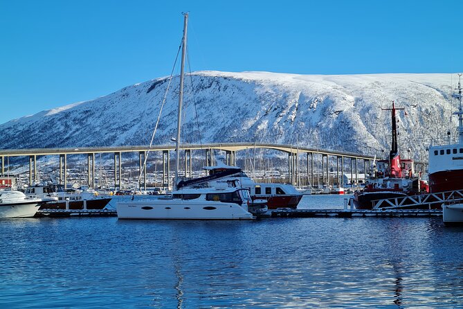 Arctic Fjordcruise & Safari in Tromso with Luxury Catamaran - What the three hours feel like