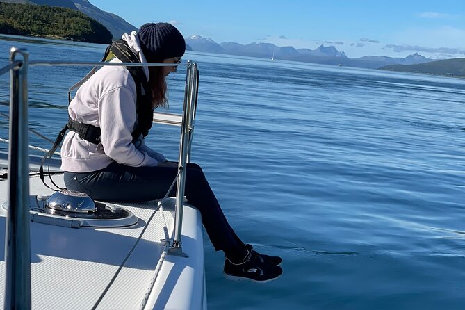 Arctic Fjordcruise & Safari in Tromso with Luxury Catamaran - Comfort, snacks, and cold-weather planning