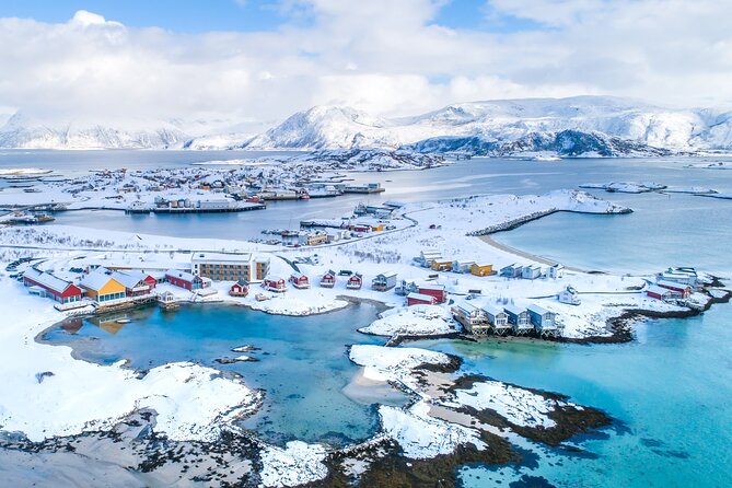 Arctic Fjords and Reindeer Experience – Small group tour - The practical side: timing, fitness, and weather
