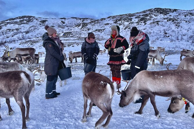 Arctic Fjords and Reindeer Experience – Small group tour - Who should choose this experience
