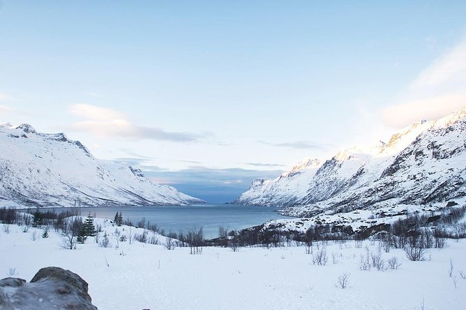 Arctic Fjords Road Trip - Why this is a good way to see Tromsø beyond town