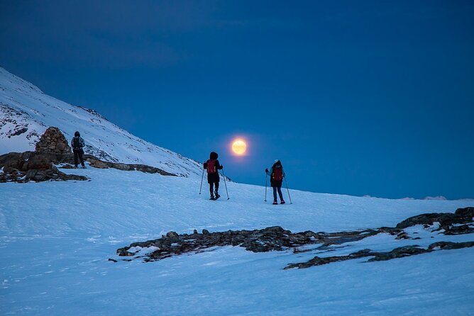 Arctic Landscapes Hiking, Sightseeing & Snowshoeing Private Tour - Driving along Tromsø’s fjords and valleys