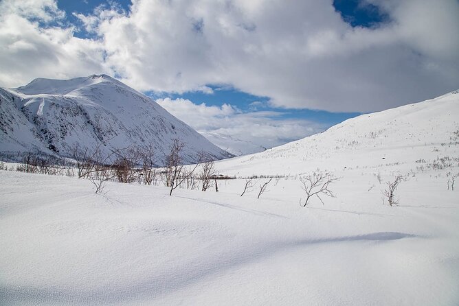 Arctic Landscapes Hiking, Sightseeing & Snowshoeing Private Tour - A warm soup stop in the middle of the cold