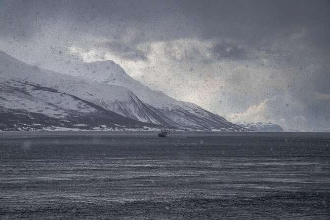 Arctic Landscapes Hiking, Sightseeing & Snowshoeing Private Tour - Photography that adds real value