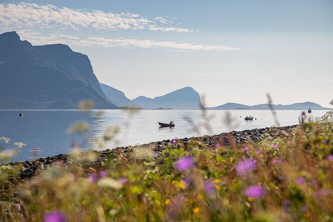 Arctic Landscapes Hiking, Sightseeing & Snowshoeing Private Tour - Who should book this Tromsø tour