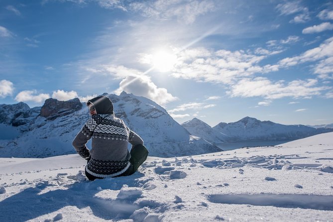 Arctic Nature Photography Sightseeing Tour from Tromso - Wildlife watching on an honest footing