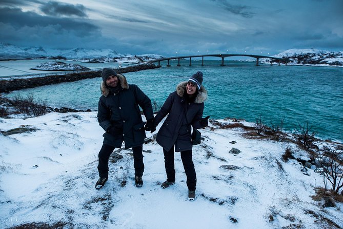 Arctic Nature Photography Sightseeing Tour from Tromso - What the $156.08 price buys you