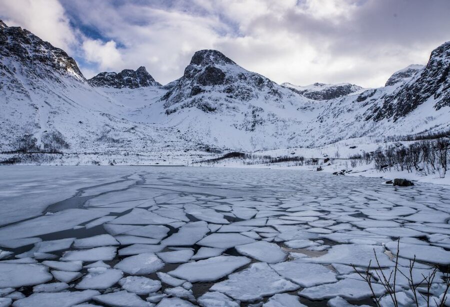 Arctic Nature Tour from Tromsø - Who should book this Arctic tour?