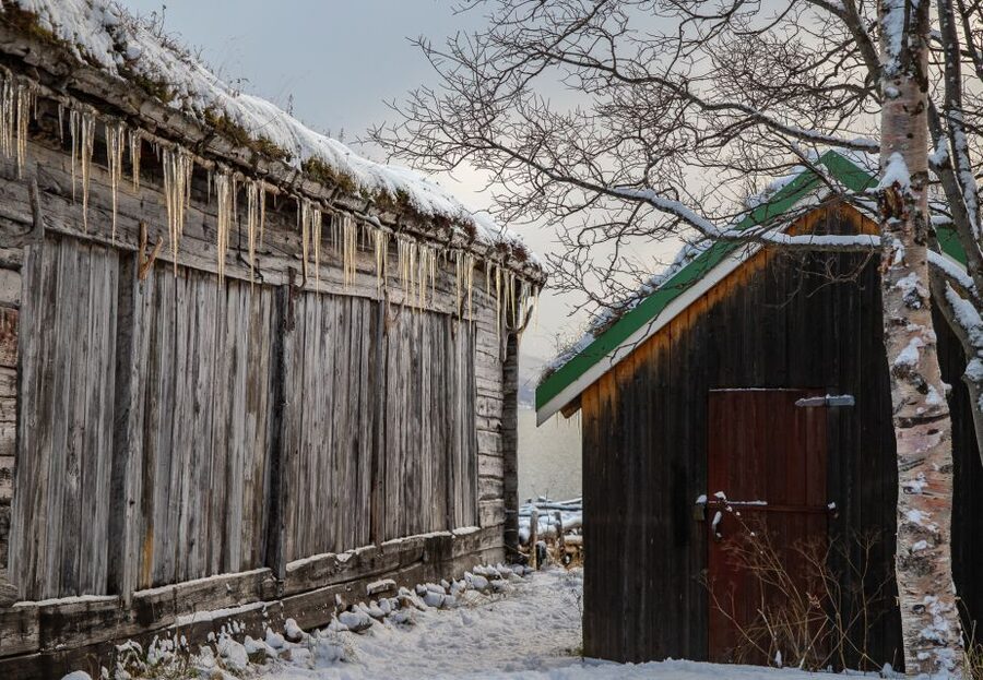 Arctic Nature Tour from Tromsø - Fjords, mountains, and beaches on Kvaløya