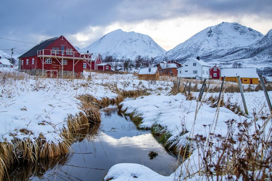 Arctic Nature Tour from Tromsø - Wildlife is possible, not promised