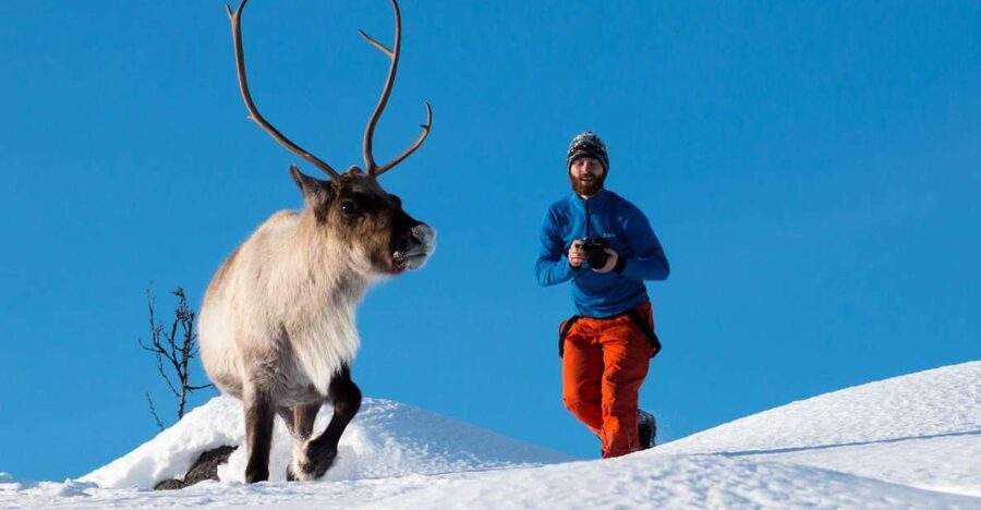 Arctic Nature Tour from Tromsø - Warm clothes, hot drinks, and a light meal