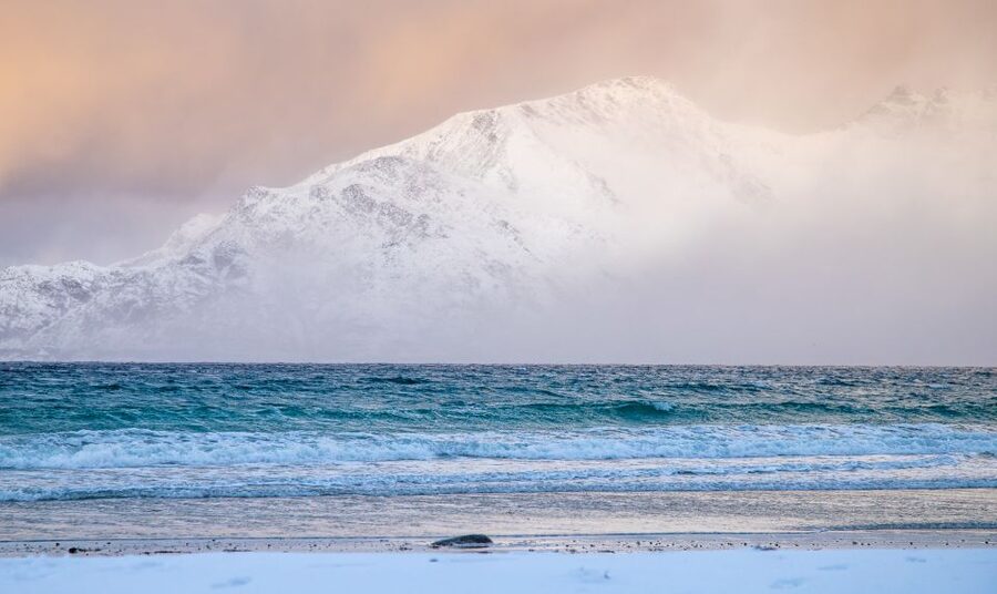 Arctic Nature Tour from Tromsø - How the $142 price works for you