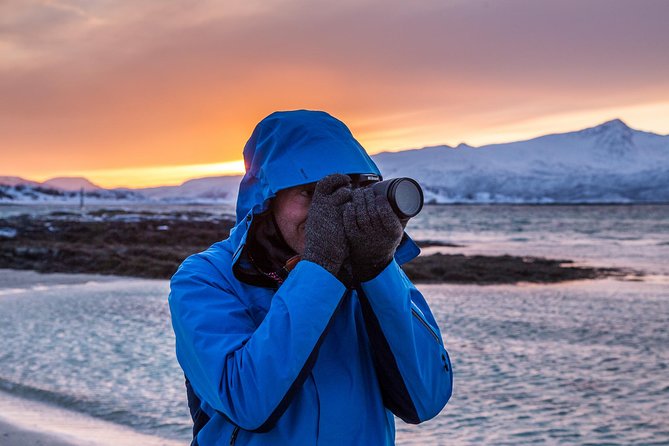 Arctic Nature Tour from Tromsø by minibus - Why Kvaløya makes a good half-day trip from Tromsø