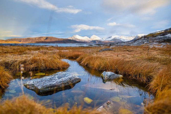 Arctic Nature Tour from Tromsø by minibus - Wildlife watching without false promises