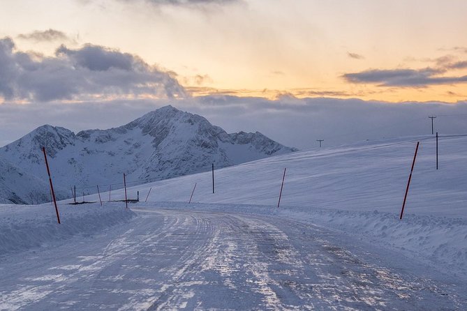 Arctic Nature Tour from Tromsø by minibus - Photography is not a side benefit