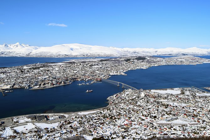 Arctic Panorama cable car excursion - Key points to know before you book