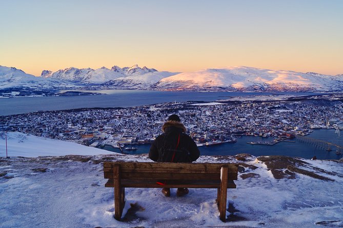 Arctic Panorama cable car excursion - Fjellstua Café and the Norwegian waffle stop