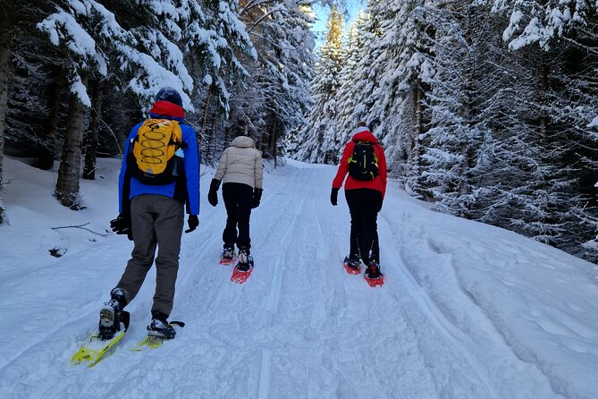 Arctic Snowshoe Hike in Norway - Leaving Tromsø for a quieter Arctic setting