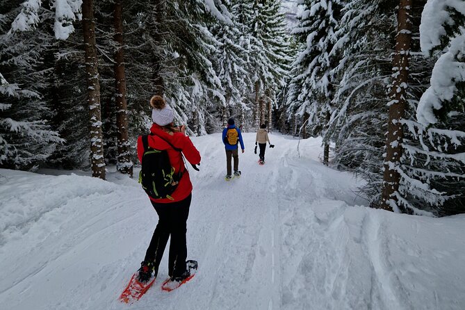 Arctic Snowshoe Hike in Norway - Is $161.82 a fair price?
