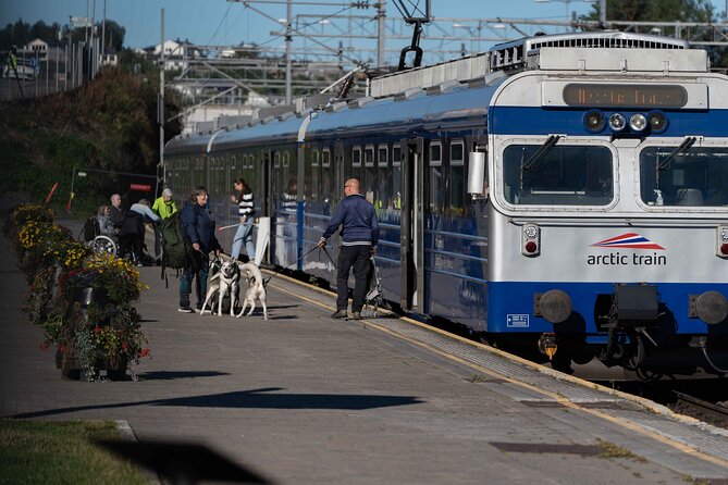 Arctic Train - The Northernmost Railway in Norway - Choosing the best side of the carriage
