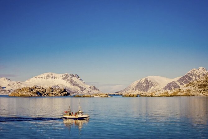 Arctic Wildlife and Fjord Sightseeing - Crossing Kvaløya’s fjords and mountain roads