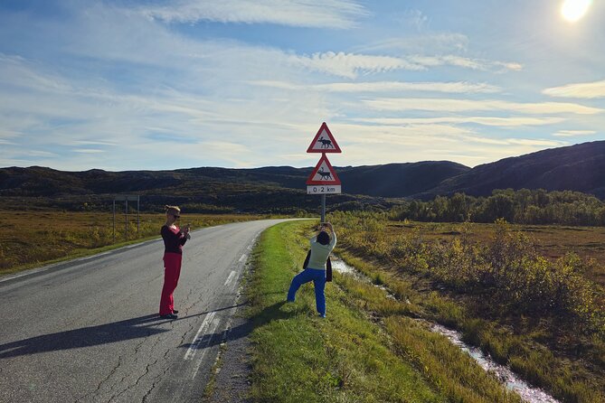 Arctic Wildlife and Fjord Sightseeing - Rystraumen and Straumsbukta on the return