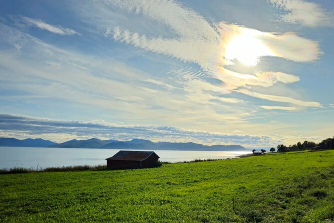 Arctic Wildlife and Fjord Sightseeing - Wildlife: what you might actually see