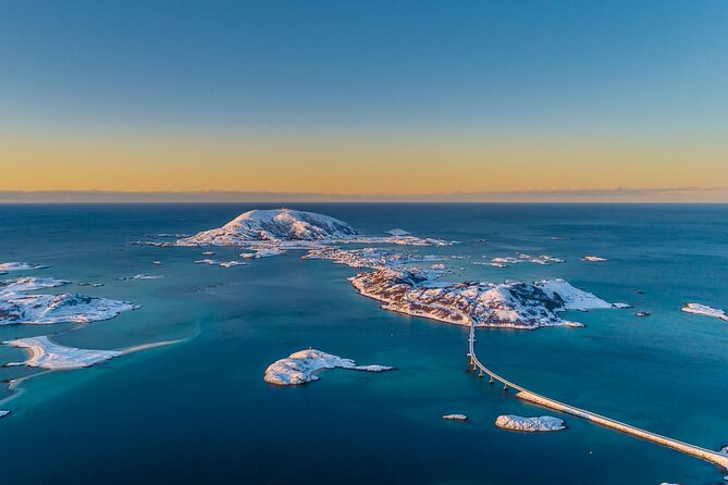 Arctic Wildlife and Fjord Sightseeing - Guides, vehicles, and the feel of the day