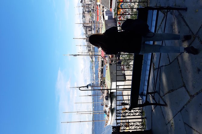 Art and Museum Tour of Oslo - Akershus Fortress and the old Kvadraturen district