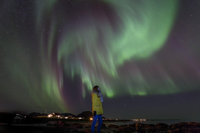 Aurora Capture with Photographer - Key points about this Svolvaer Aurora tour