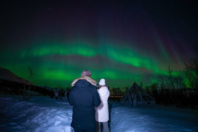 Aurora Crystal Lavvo Overnight with Activities from Tromsø - Dinner, aurora forecasts, and practical camera help