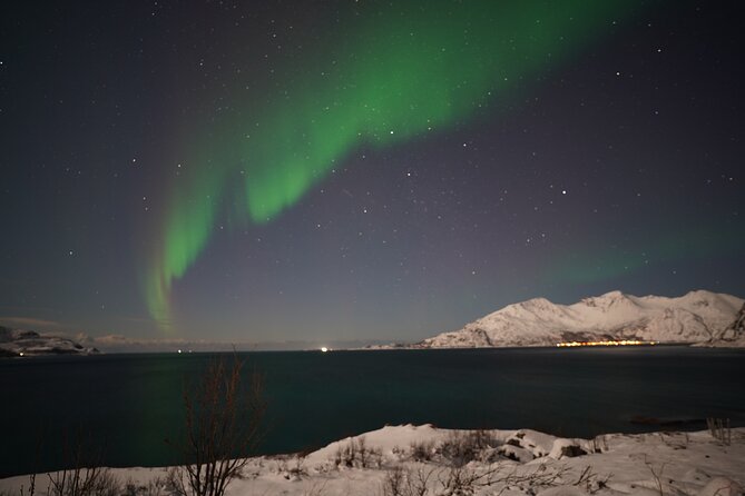 AURORA DAİLY Northern Lights Safari Tour 8 Guests with PİCKUP - Chasing clear skies from Tromsø