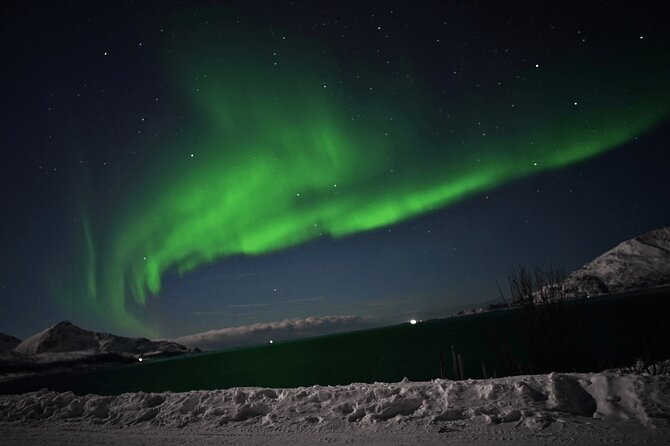 AURORA DAİLY Northern Lights Safari Tour 8 Guests with PİCKUP - Is $290.10 a fair price?