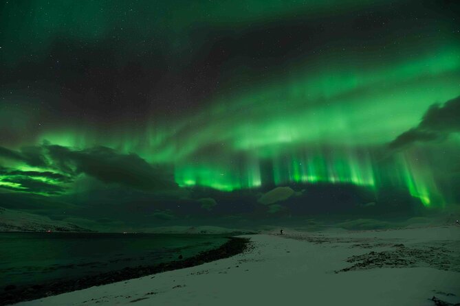 Aurora Hunt with Professional Photographer from Alta - The practical cost of booking at $1,145