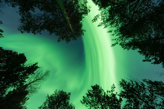 Aurora Hunt with Professional Photographer from Alta - What happens after you meet in Alta