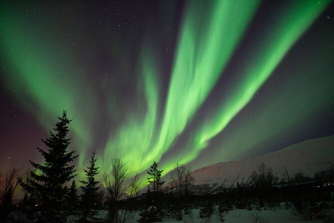Aurora Safari Chase by big bus, free Photos, toilet onboard - What this Tromsø aurora chase is really like