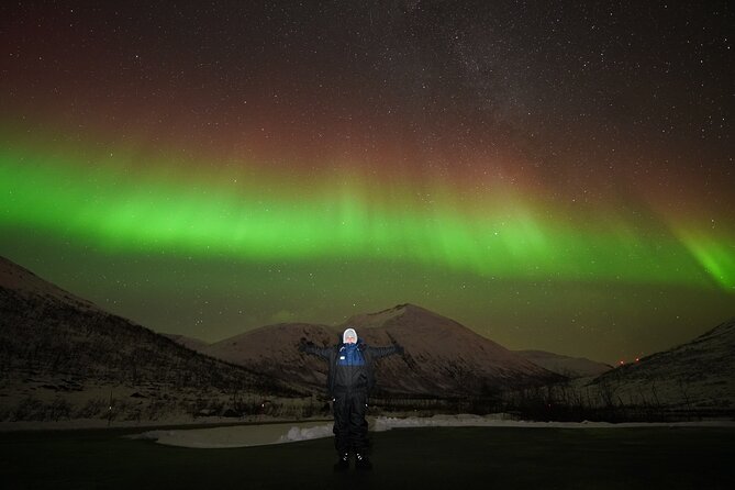 Aurora tour with free portrait and bonfire - Key points to know before booking