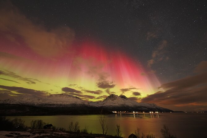 Aurora tour with free portrait and bonfire - Chasing clear skies beyond Tromsø