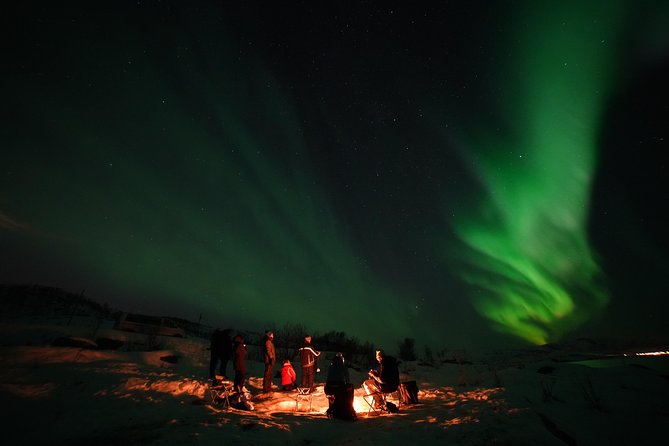Aurora tour with free portrait and bonfire - Warmth, fire, and Arctic snacks
