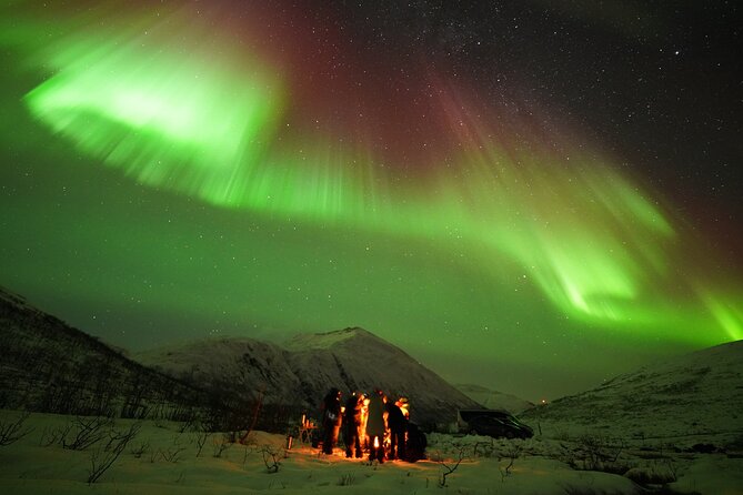 Aurora tour with free portrait and bonfire - Who should book this aurora outing?